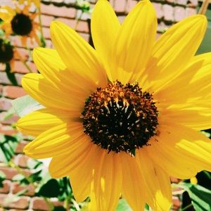 Meet your Posher, Mika